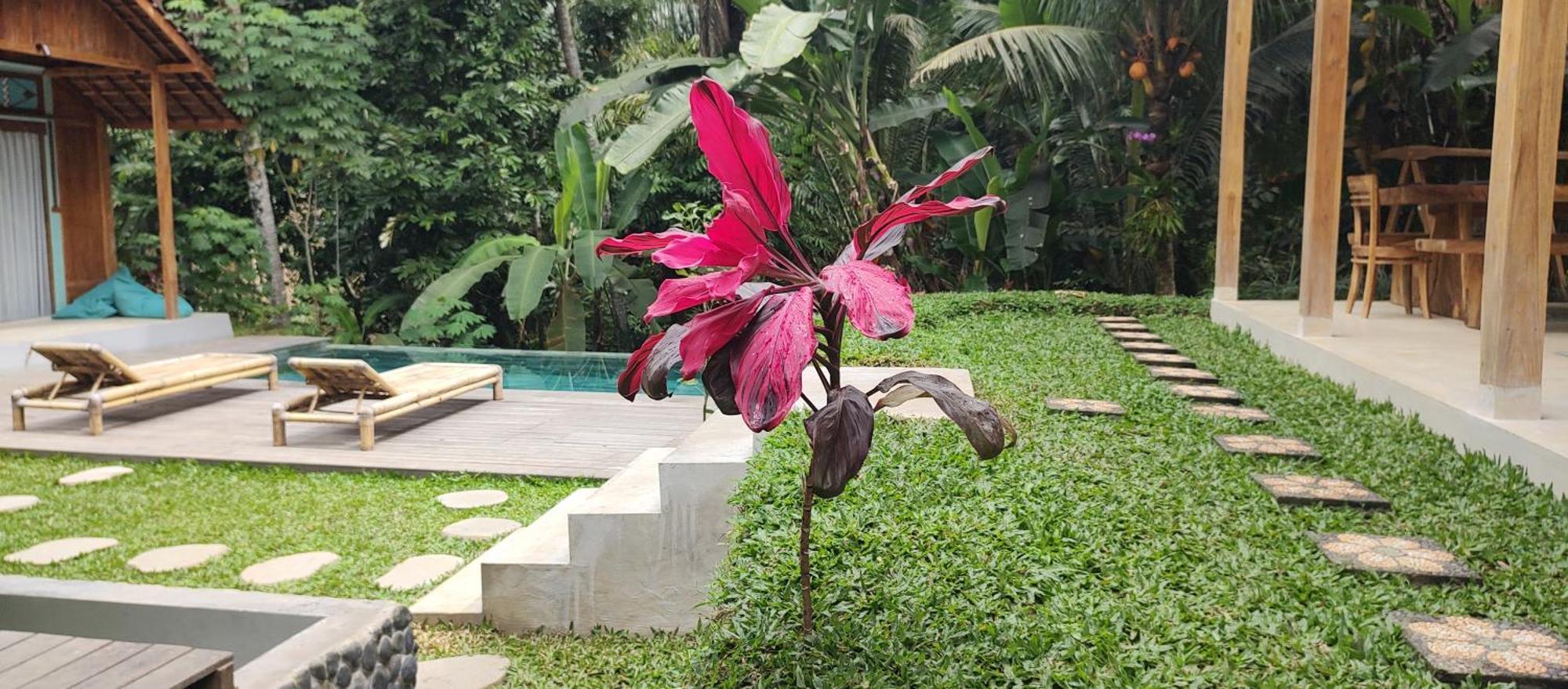 Rumah Guci Ubud Exterior foto