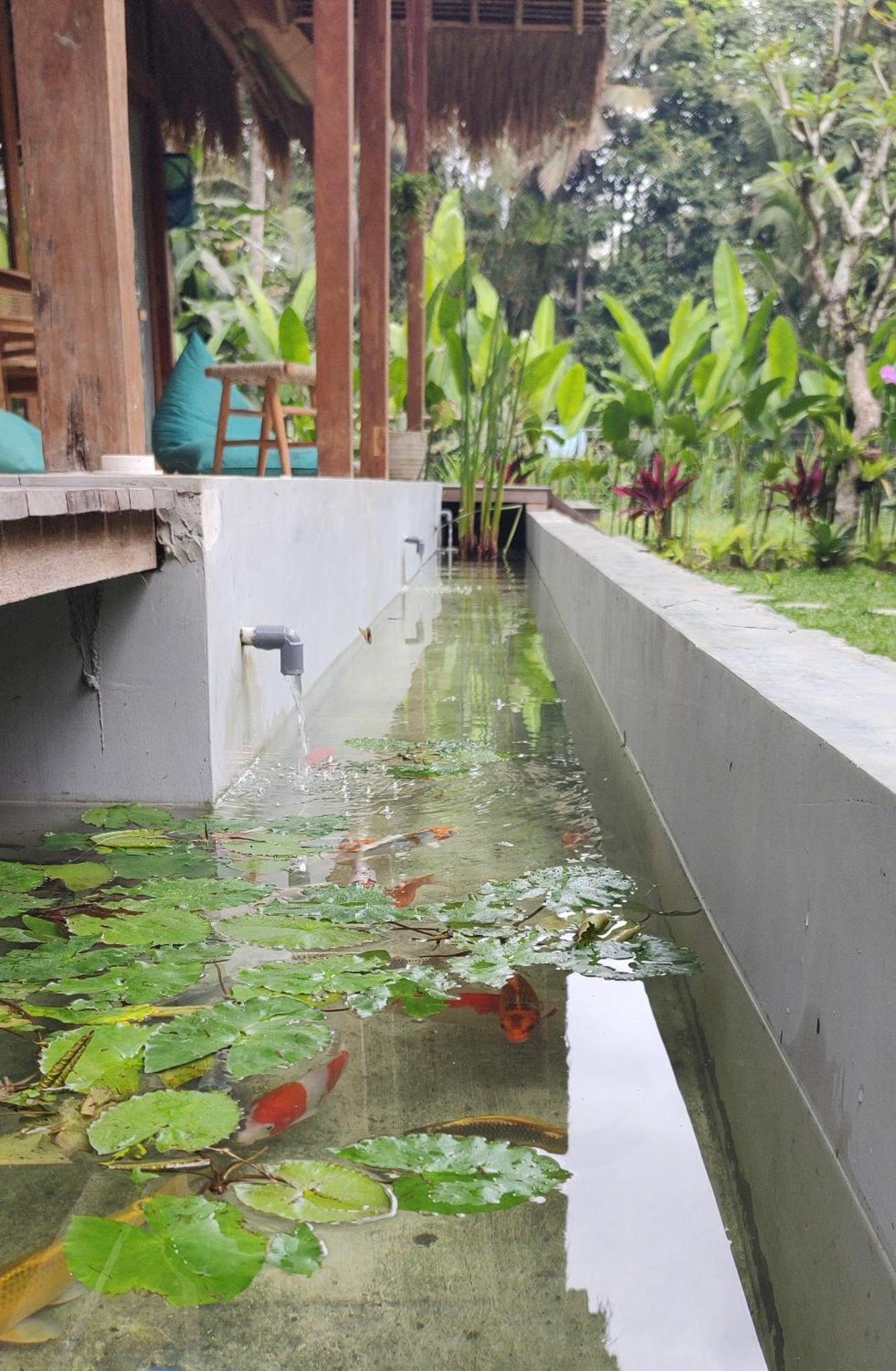 Rumah Guci Ubud Exterior foto